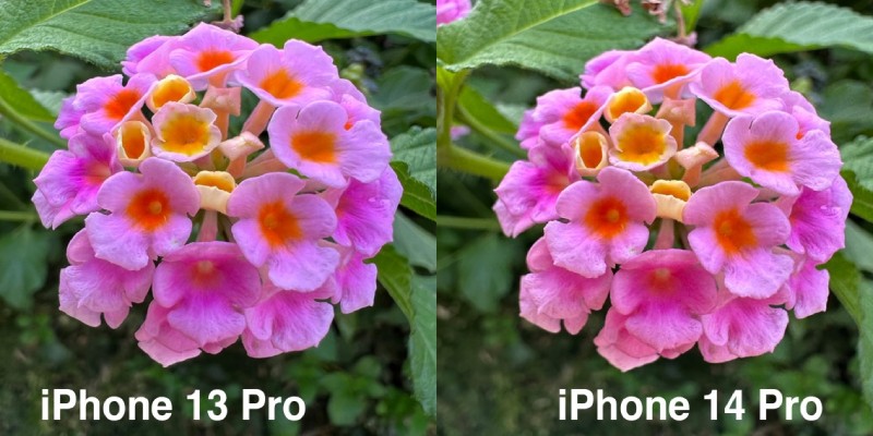 Iphone 14 And 13 Camera Pic
